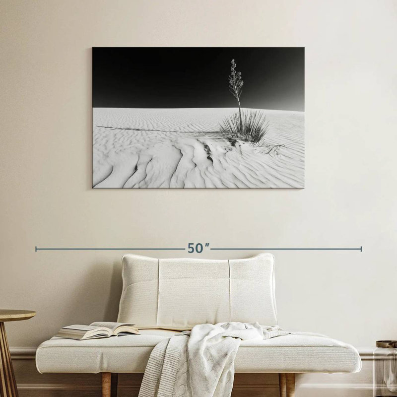 Alvord White Sands Impression monochrome
