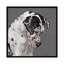 «Great Dane» par Vicki Newton - reproduction d'art sur toile tendue avec châssis-72437066-72437064-72437084