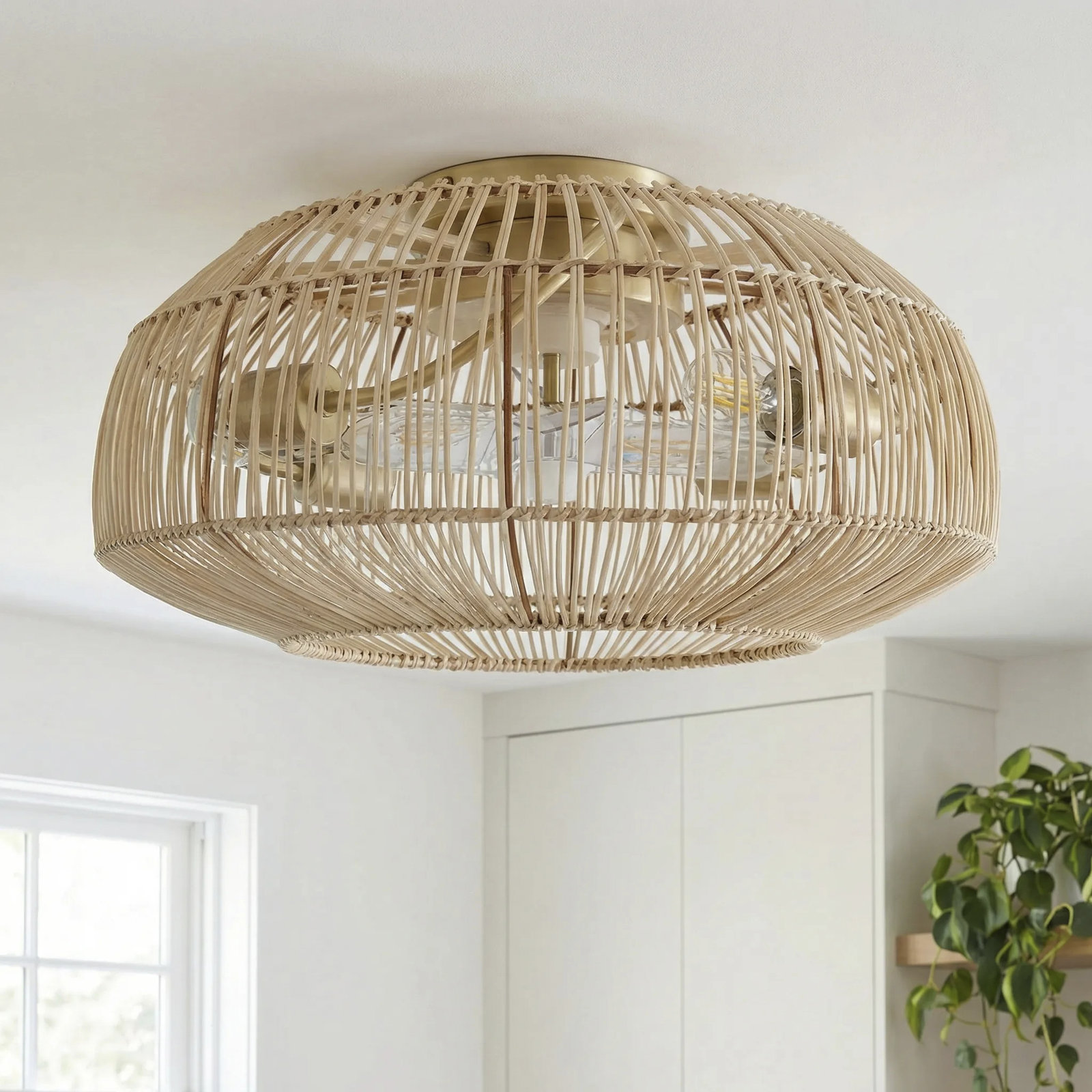 Ellinger Ceiling Fan with Light Kit