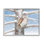 «Snowy Birch Tree Owl» encadré sur bois par Caro Windmuller, impression