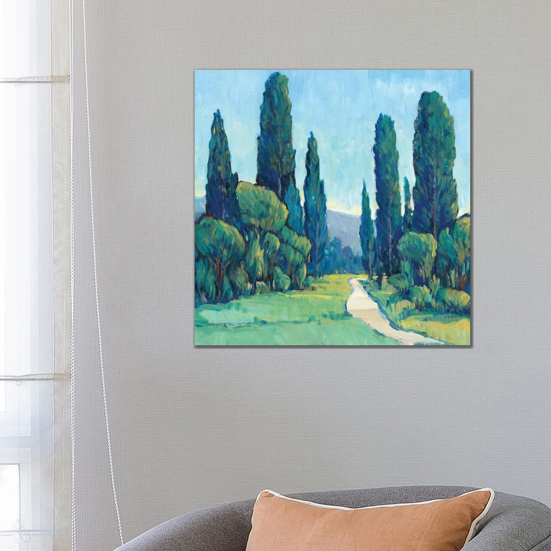 Cypress Path II von Tim OToole - Galerieverpackte Leinwand Giclée auf Leinwand