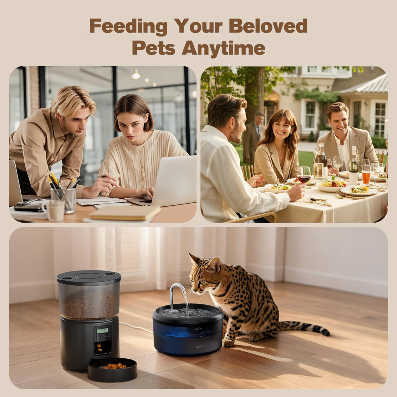 Automatic Feeder