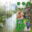Plant Stand