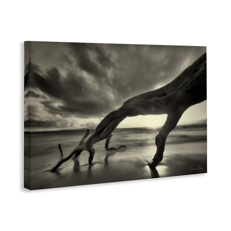 "Tronc d'arbre sur toile" par Dennis Frates, H 16 po x l 24 po