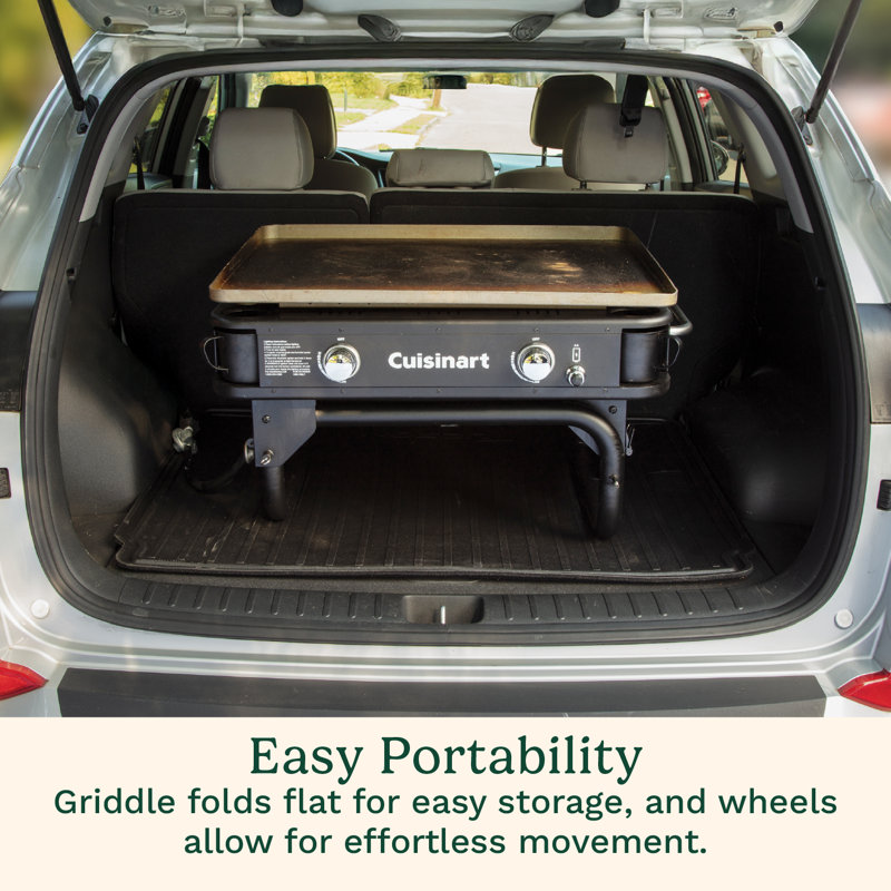 28" Two Burner Gas Griddle And Cover