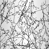 Branch Entanglement Floral Vinyl Metallic Wallpaper Roll by Jamie Graney
