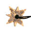 Diamond Star 10 Light String Lights