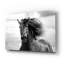 «Breath Of Life» par Tony Stromberg-1673837525