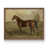 Noyer