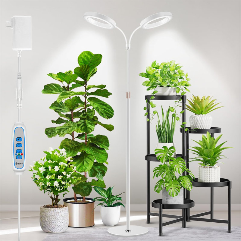 Naomi Grow Light