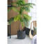 Jardinière intérieure en ciment 14,2 x 14,2 x 13,4 po-1054925061