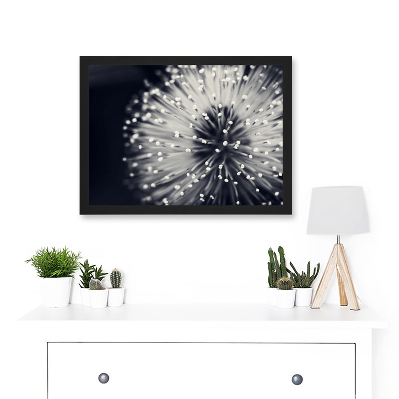 Nature Plant Flower Black White Beautiful - Single Picture Frame Art Prints