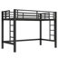 Lit mezzanine simple en métal noir de taille très grand avec double échelle latérale, cadre et coffre-fort pour dormir dans un dortoir avec barrières de sécurité, assemblage facile, chambre à coucher inférieure flexible