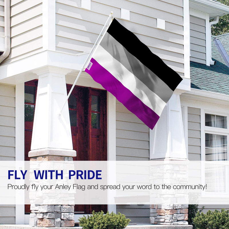 Drapeau de maison en polyester Asexual Pride 36 x 60 po