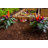Mezza Keyhole Composting Wood Raised Garden Bed