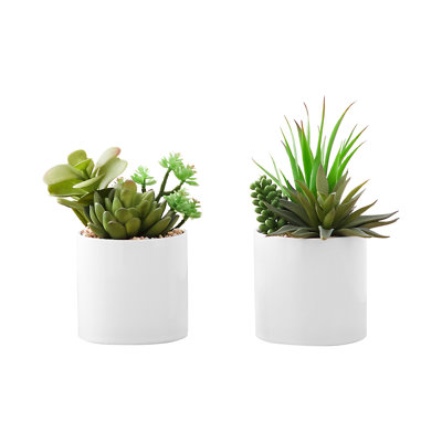 Plante grasse artificielle de 2 à 7 po de hauteur, en pots en céramique blanche pour 2 grandes plantes décoratives