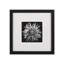 Black Blossom - D Print