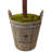 Olive Topiary Tree with Farmhouse Planter