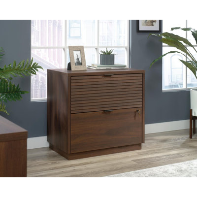 Demi-Mae 78.4 cm W 2 -Drawer Filing Cabinet
