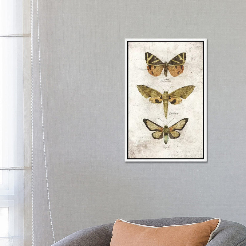 Butterflies VI 1 Piece Wall Art on Canvas, 66.04cm H x 45.72cm W x 3.81cm D, White Framed