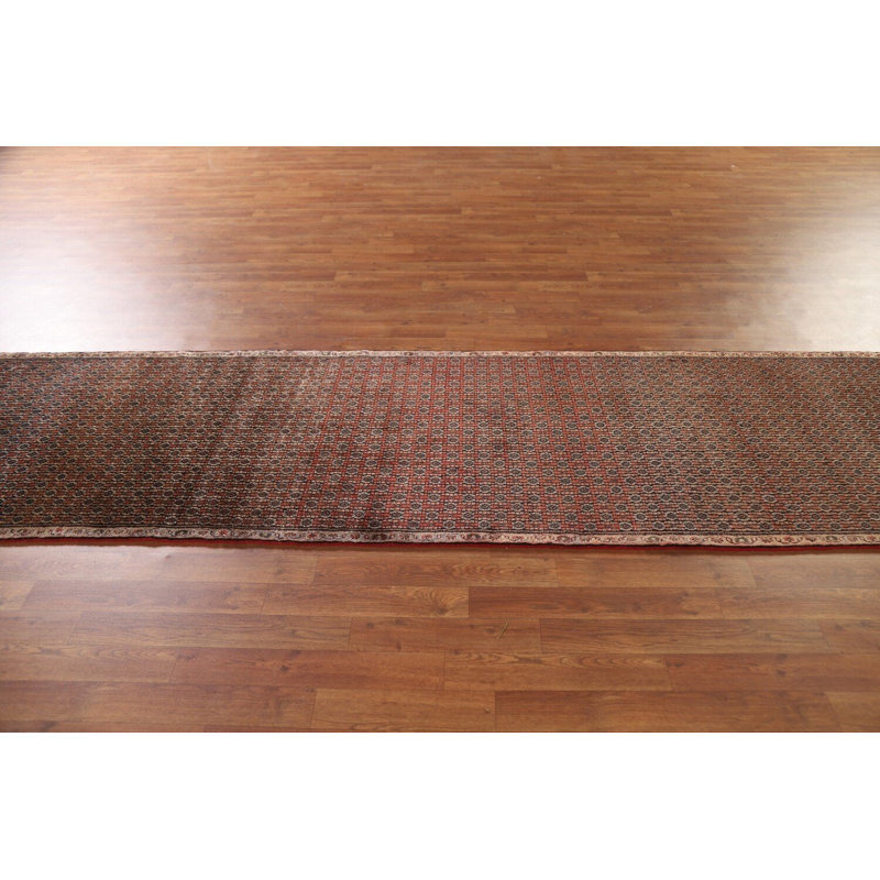 Tapis de couloir traditionnel All-Over 3 x 11