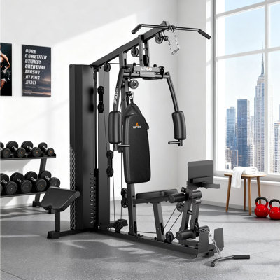 Station de gymnastique tout-en-un FED Fitness FMW2, empilement de poids de 154 lb, presse-jambes et coussin de prédilection pour la gymnastique à domicile