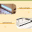 Lit de jour rembourré avec ceinture DEL-303251613-303251614