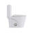 Rainlex 1.6 GPF Elongated 15.75 Comfort Height Chair Height Floor Mounted Close Coupled Toilets with Seat Included