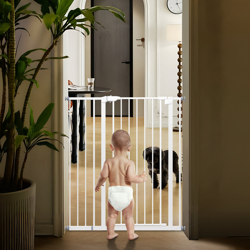 Barrière pour chien, Blanc