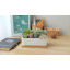 Plante grasse artificielle en pot 2,9 po Ember