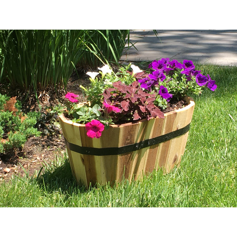Pot à fleurs Steubenville, H 12 po x l 20 po x P 11 po