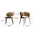 Cathelijn Lukas 2-Piece Set Chair-1688090074