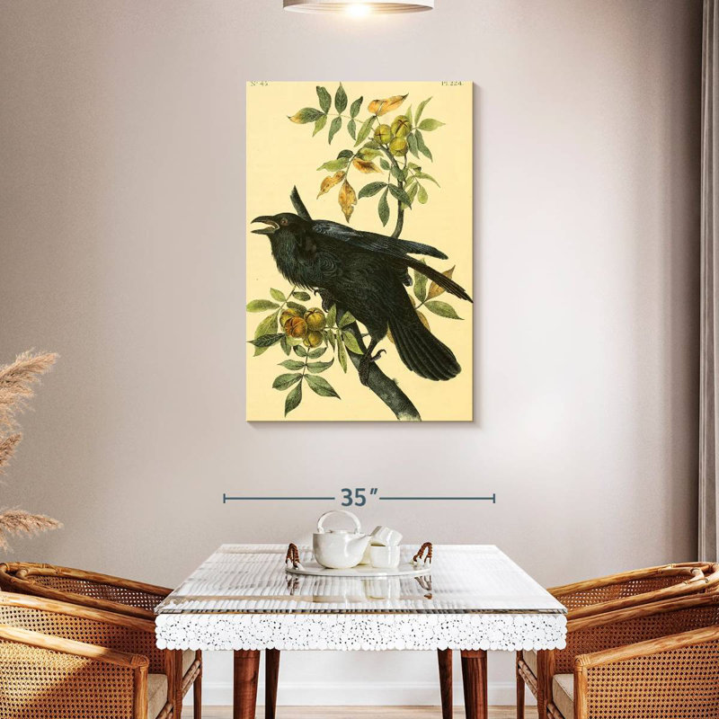Grand corbeau des oiseaux d'Amérique, H 45 po x l 30 po