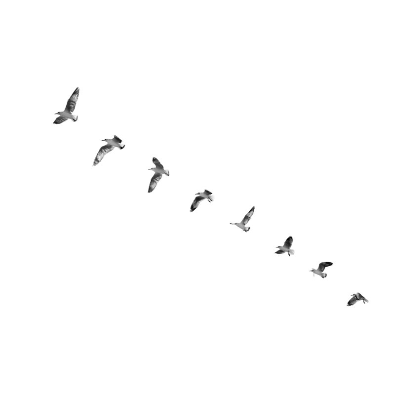 Bird Taking Off by PhuuchaayHYBRID - Wrapped Canvas Print, 30cm H x 46cm W x 3.8cm D