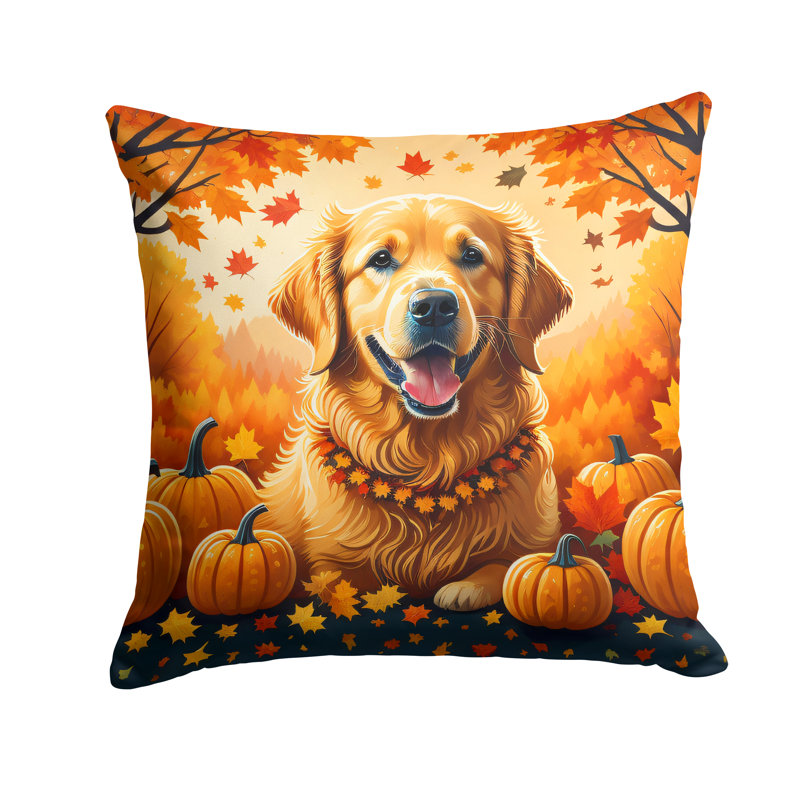 Other/No Pattern Outdoor Throw Pillow, 18" x 18"