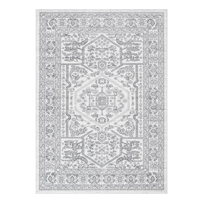 Teisuke Oriental Indoor Rug