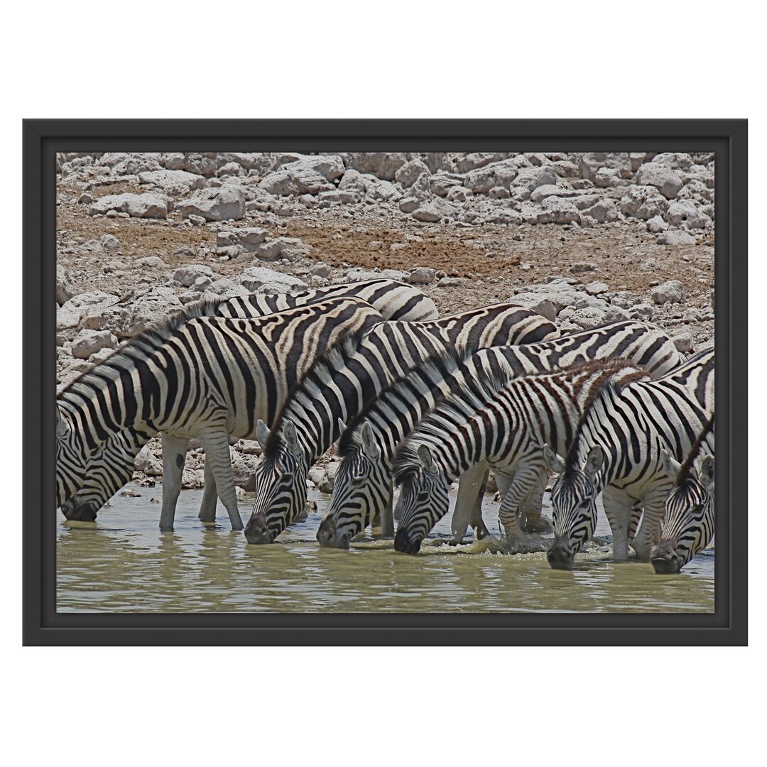 Gerahmtes Wandbild Zebraherde am Wasserloch