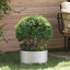 Raised Garden Bed