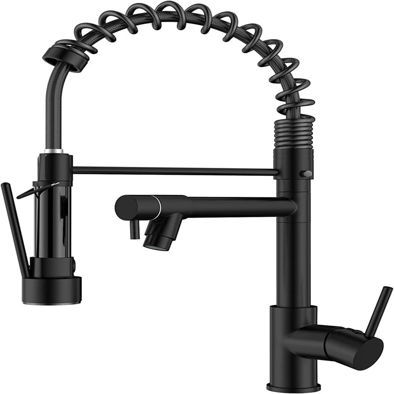 Ivy Bronx Derean Kitchen Faucet