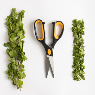 Herb Scissors Mincing Snip Cutting Preparing Tempered Stainless