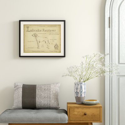 " 'Antique Labrador Retriever " by Ehtan Harper