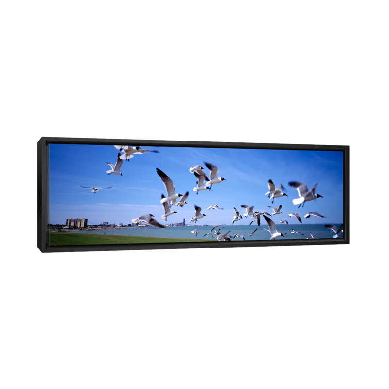 « troupeau of seagulls flying on the beach, new york state », reproduction de photo sur toile, H 12 po x l 36 po x P 1,5 po