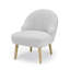 Upholstered Accent Chair-41186771