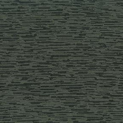 Tissu Fragment