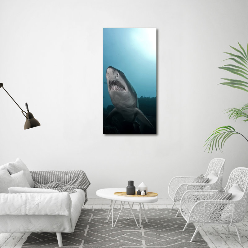 Big Shark - Wrapped Canvas Print