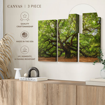 Nature 3 - Pieces