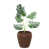 Terracotta is out of stock