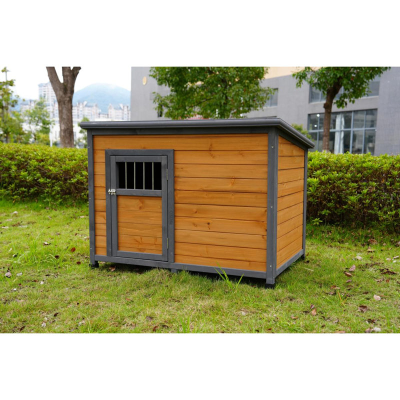 Grande niche pour chien en bois massif 45 po, toit en plastique PVC imperméable, portes en bois respirantes