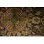 Exquisite Traditional Agra Oriental Area Rug 8x10
