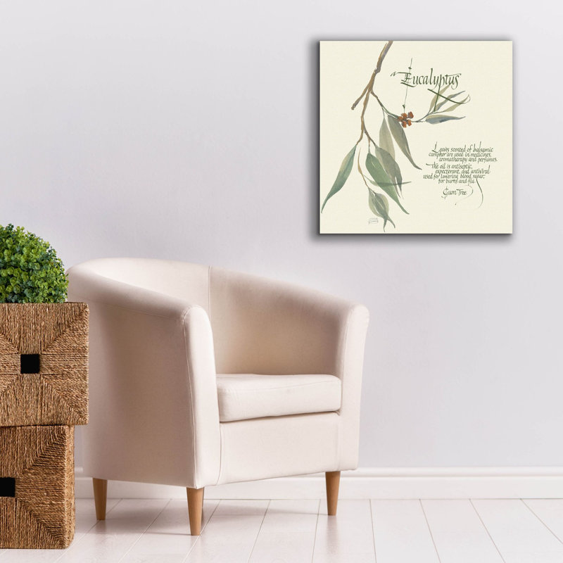  ' Eucalyptus' by Chris Paschke Canvas Wall Art, 26" x 26"
